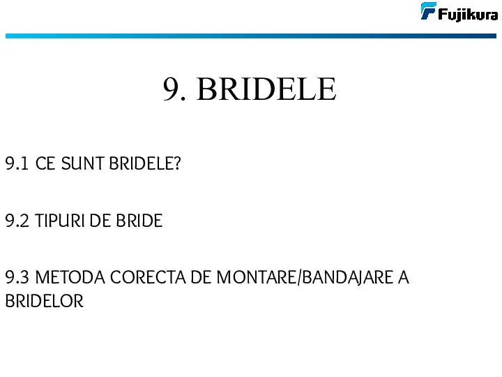 9. BRIDELE 9.1 CE SUNT BRIDELE? 9.2 TIPURI DE BRIDE