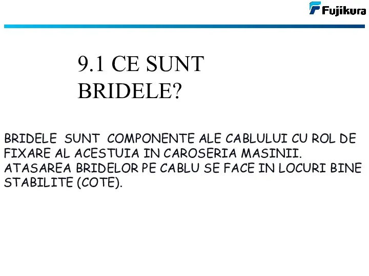 BRIDELE SUNT COMPONENTE ALE CABLULUI CU ROL DE FIXARE AL