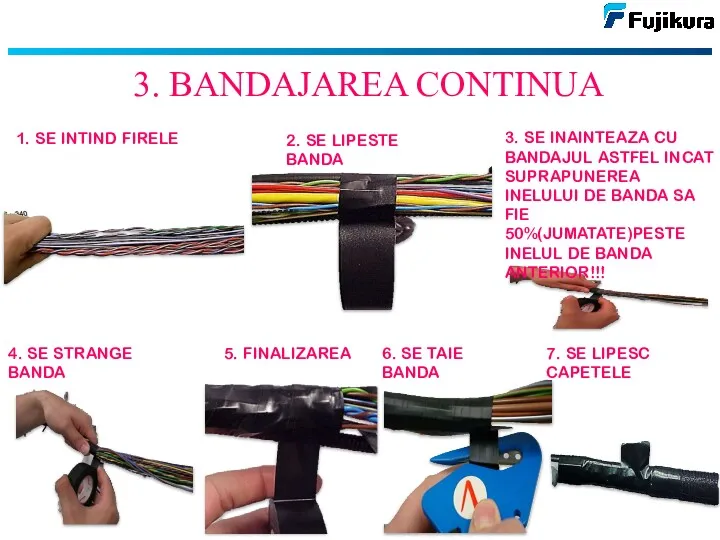 3. BANDAJAREA CONTINUA 1. SE INTIND FIRELE 2. SE LIPESTE