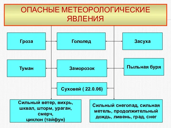 ОПАСНЫЕ МЕТЕОРОЛОГИЧЕСКИЕ ЯВЛЕНИЯ Гроза Заморозок Суховей ( 22.0.06) Туман Сильный