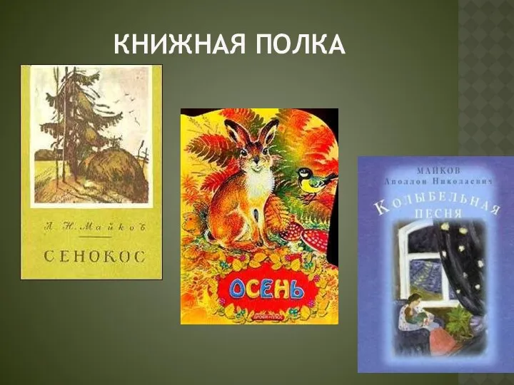 КНИЖНАЯ ПОЛКА