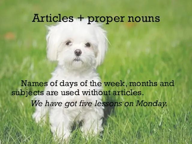 Articles + proper nouns Names of days of the week,
