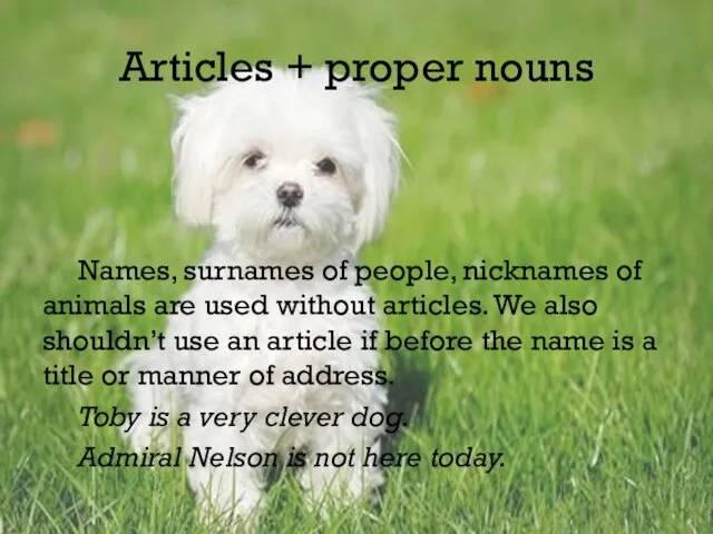 Articles + proper nouns Names, surnames of people, nicknames of