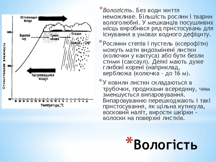 Вологість Вологість. Без води життя неможливе. Більшість рослин і тварин