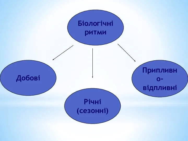 Біологічні ритми Припливно- відпливні Річні (сезонні) Добові