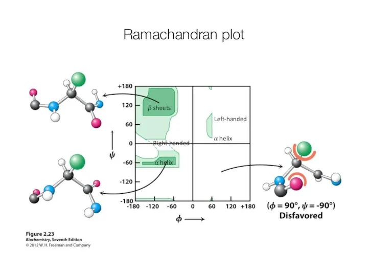 Ramachandran plot ? sheets Right-handed ? helix Left-handed ? helix
