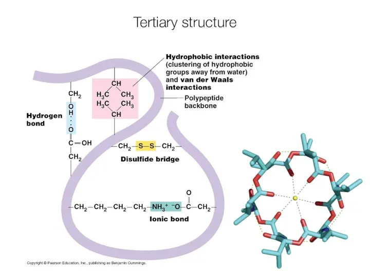 Tertiary structure