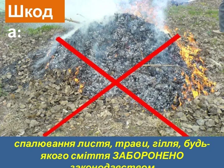 спалювання листя, трави, гілля, будь-якого сміття ЗАБОРОНЕНО законодавством Шкода: