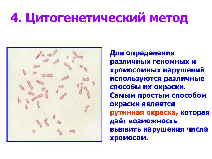 4. Цитогенетический метод Для определения различных геномных и хромосомных нарушений