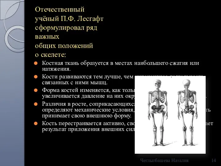 Отечественный учёный П.Ф. Лесгафт сформулировал ряд важных общих положений о