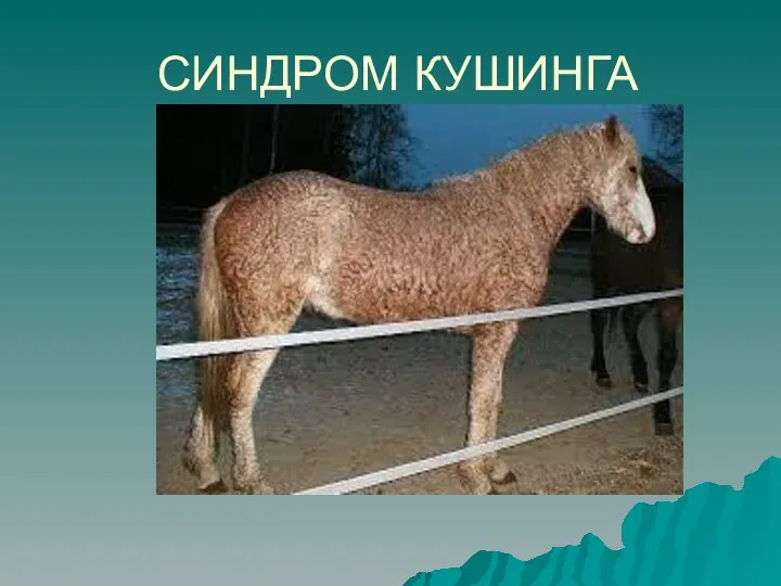 СИНДРОМ КУШИНГА