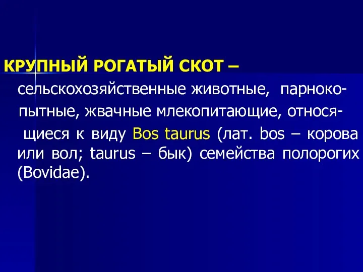 КРУПНЫЙ РОГАТЫЙ СКОТ – сельскохозяйственные животные, парноко- пытные, жвачные млекопитающие, относя- щиеся к