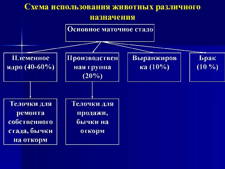 Схема использования животных различного назначения