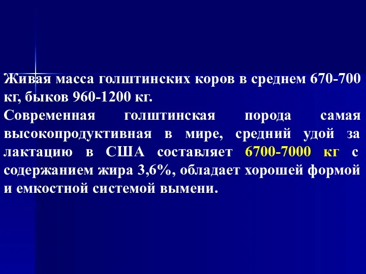 Живая масса голштинских коров в среднем 670-700 кг, быков 960-1200 кг. Современная голштинская