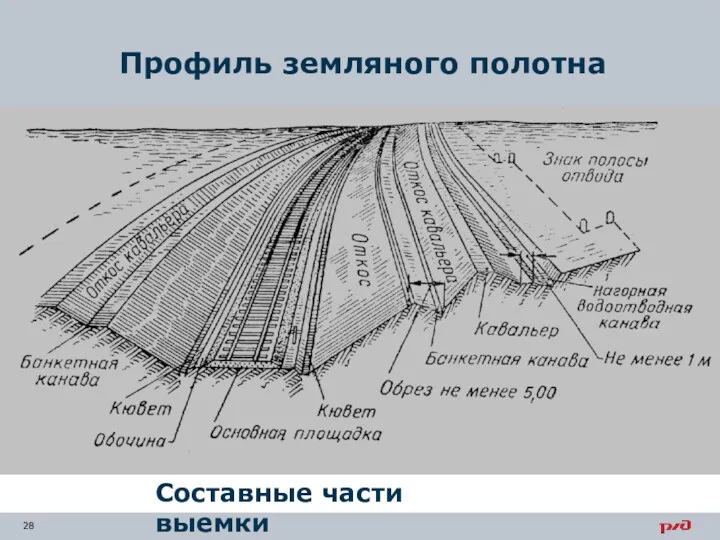 Профиль земляного полотна Составные части выемки