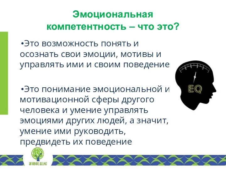 Эмоциональная компетентность – что это? Это возможность понять и осознать