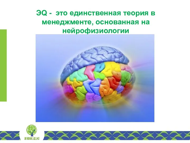ЭQ - это единственная теория в менеджменте, основанная на нейрофизиологии