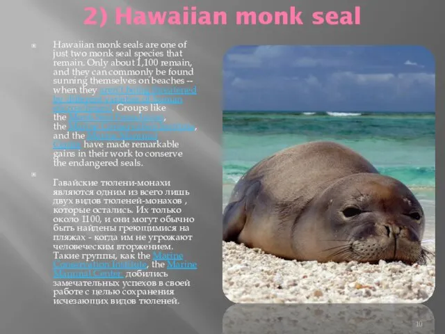 2) Hawaiian monk seal Hawaiian monk seals are one of