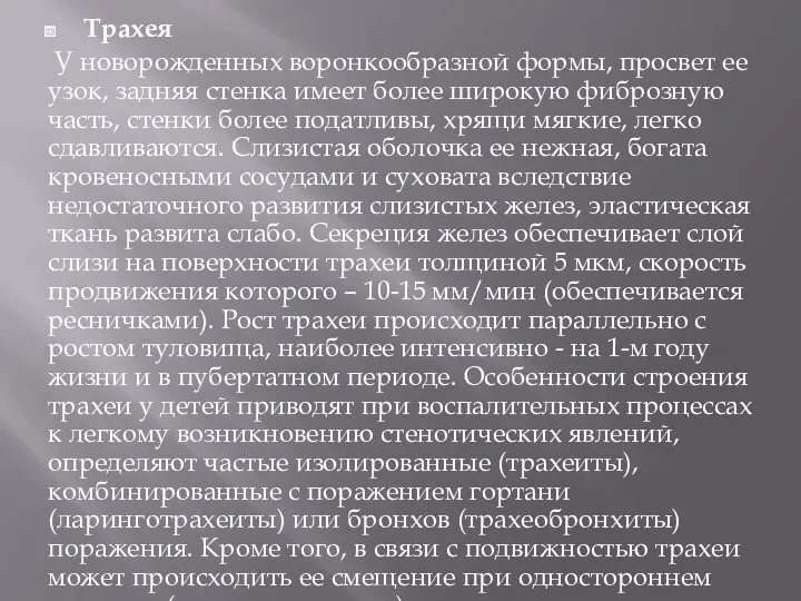 Трахея У новорожденных воронкообразной формы, просвет ее узок, задняя стенка