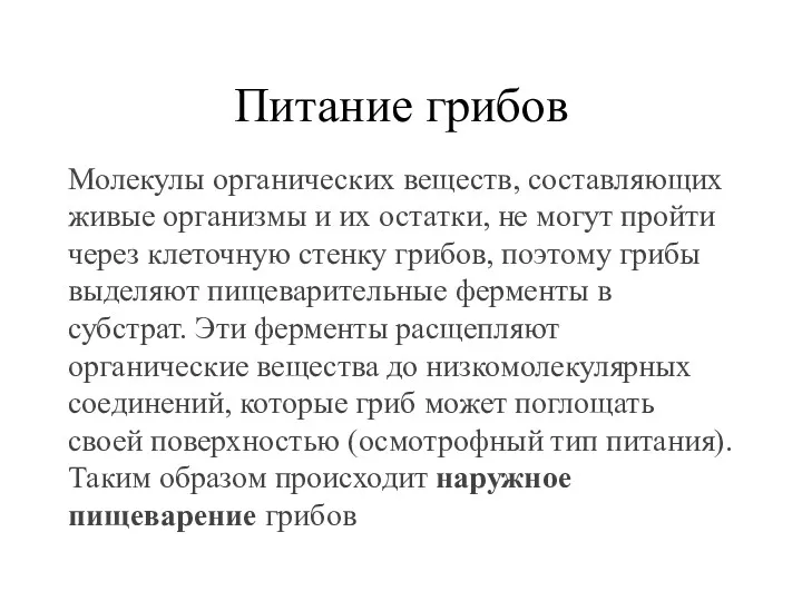 Питание грибов Молекулы органических веществ, составляющих живые организмы и их