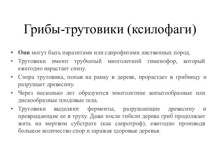 Грибы-трутовики (ксилофаги) Они могут быть паразитами или сапрофитами лиственных пород.