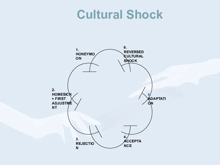 Cultural Shock