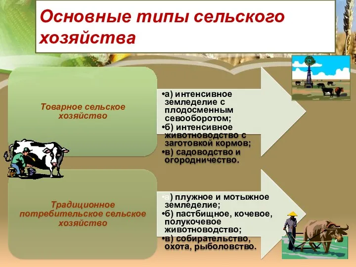 Основные типы сельского хозяйства Товарное сельское хозяйство а) интенсивное земледелие