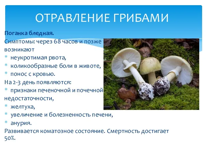 Поганка бледная. Симптомы: через 68 часов и позже возникают неукротимая