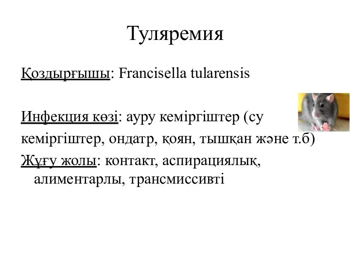 Туляремия Қоздырғышы: Francisella tularensis Инфекция көзі: ауру кеміргіштер (су кеміргіштер, ондатр, қоян, тышқан