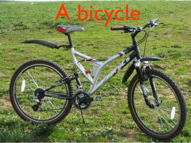 A bicycle