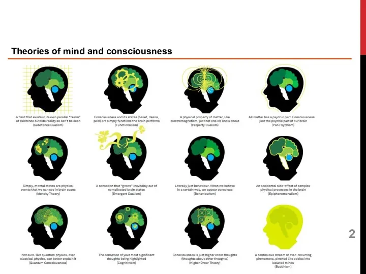 Theories of mind and consciousness