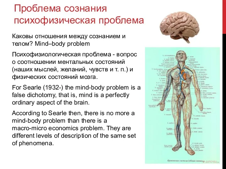 Проблема сознания психофизическая проблема Каковы отношения между сознанием и телом? Mind–body problem Психофизиологическая
