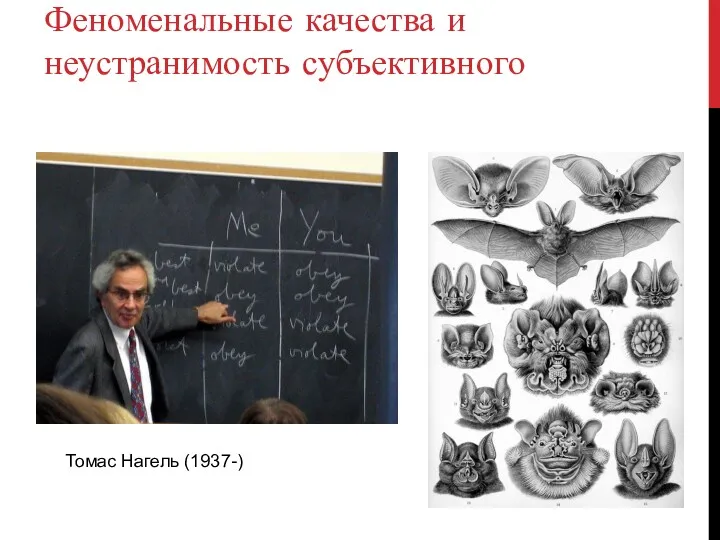 Феноменальные качества и неустранимость субъективного Томас Нагель (1937-)