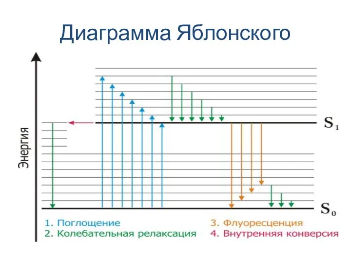 Диаграмма Яблонского