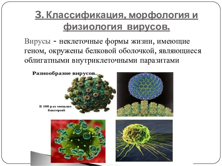 3. Классификация, морфология и физиология вирусов. Вирусы - неклеточные формы