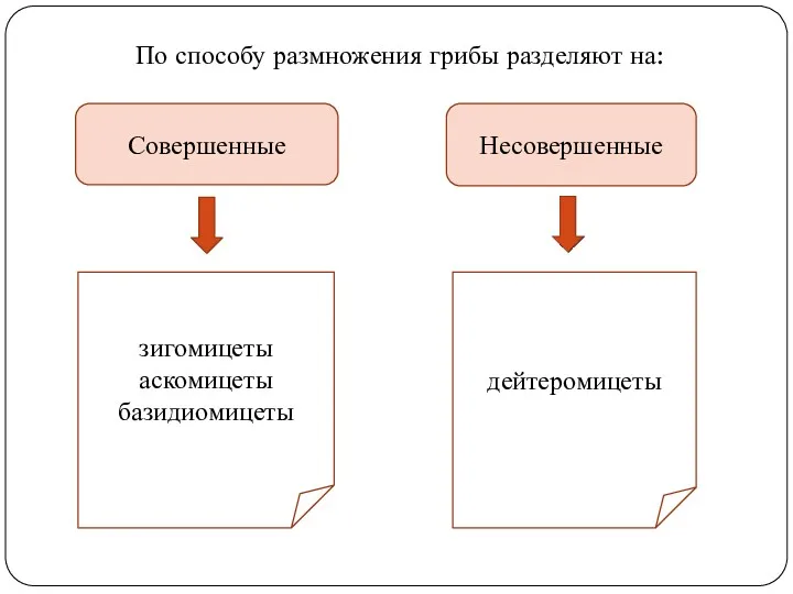 Совершенные Несовершенные зигомицеты аскомицеты базидиомицеты дейтеромицеты По способу размножения грибы разделяют на: