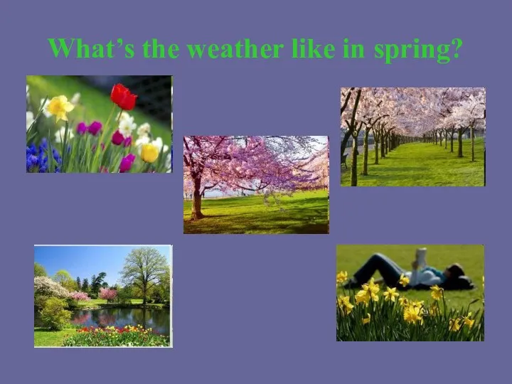 What’s the weather like in spring?