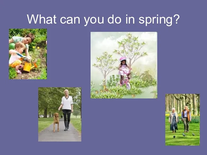 What can you do in spring?