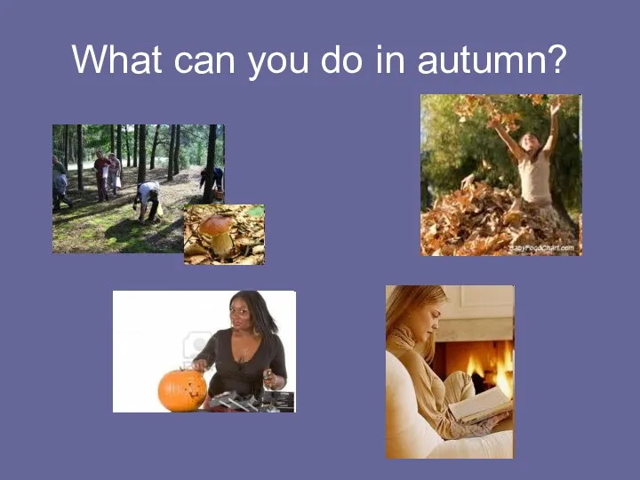 What can you do in autumn?