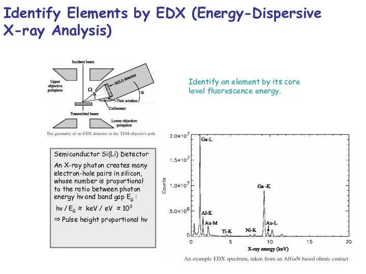 Identify Elements by EDX (Energy-Dispersive X-ray Analysis) Identify an element