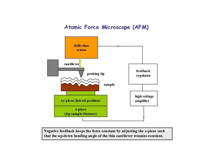 Atomic Force Microscope (AFM) sample feedback regulator high voltage amplifier