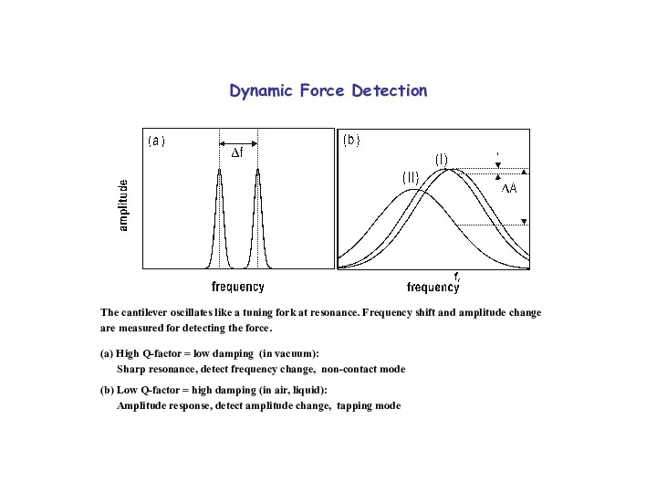 Dynamic Force Detection The cantilever oscillates like a tuning fork