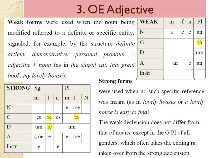 3. OE Adjective
