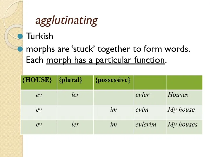 agglutinating Turkish morphs are ‘stuck’ together to form words. Each morph has a particular function.