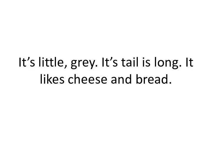 It’s little, grey. It’s tail is long. It likes cheese and bread.