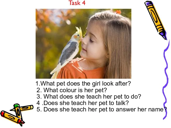 Task 4 1.What pet does the girl look after? 2.