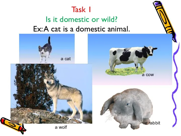 Task 1 Is it domestic or wild? Ex: A cat