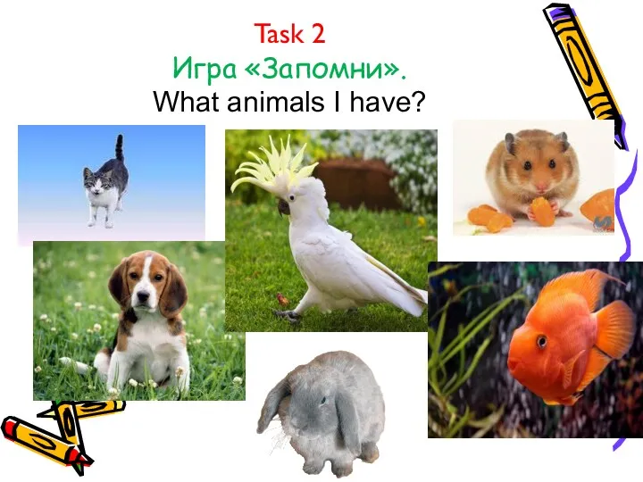 Task 2 Игра «Запомни». What animals I have?