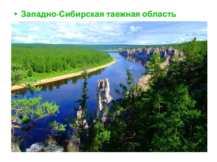 Западно-Сибирская таежная область