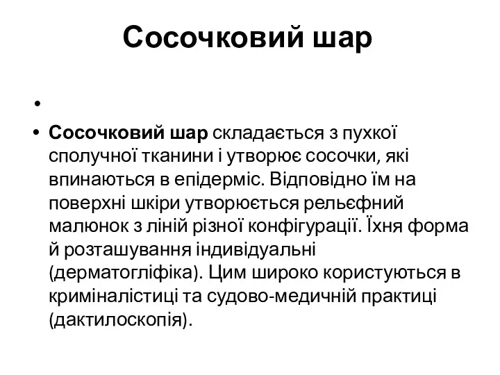 Сосочковий шар Сосочковий шар складається з пухкої сполучної тканини і утворює сосочки, які